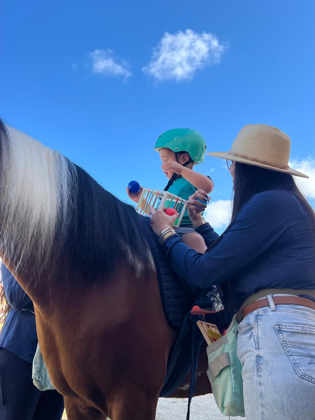 Terapeuta acompaña a un niño montado a caballo bajo un cielo azul